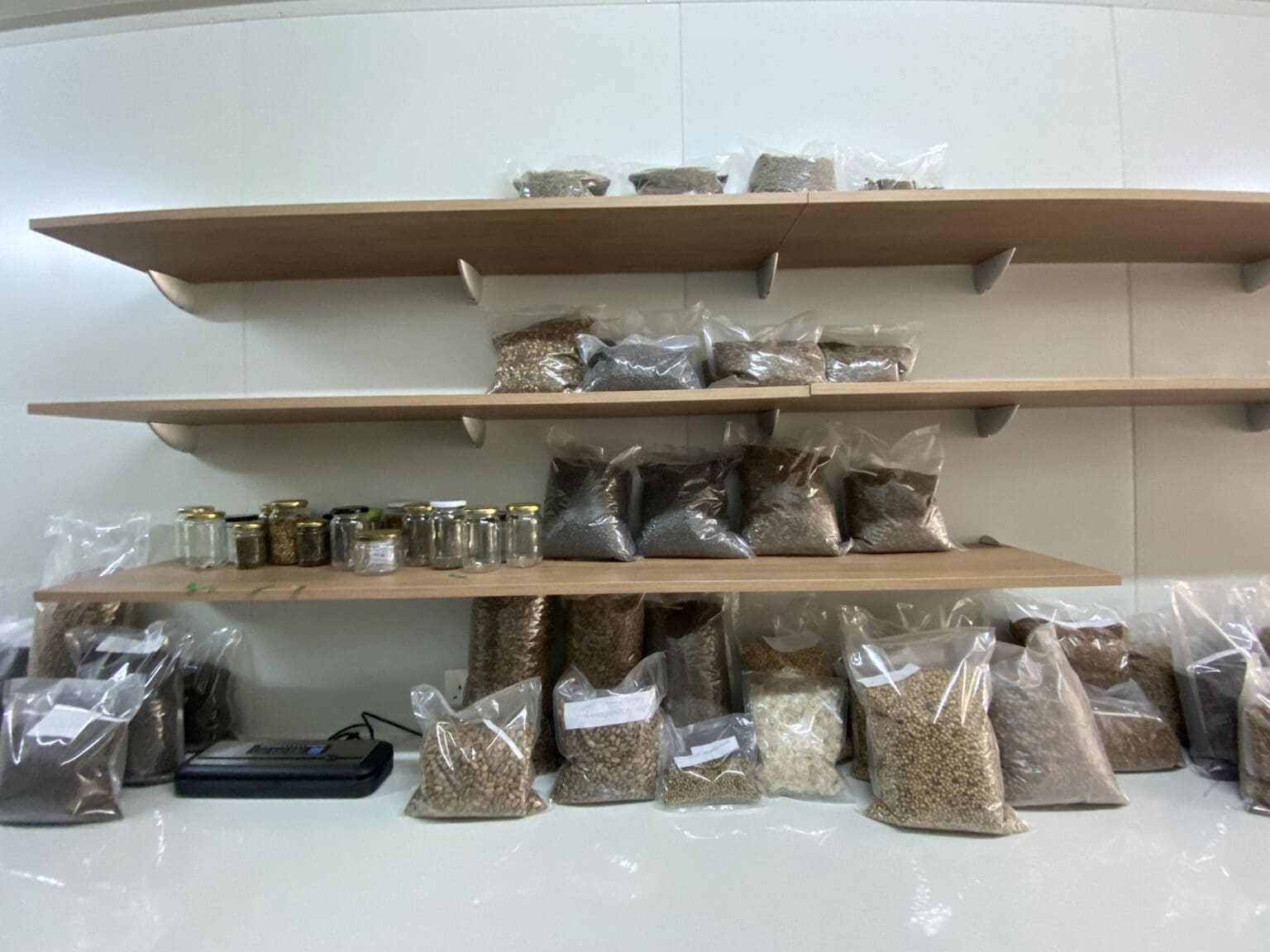 Seed bank 2